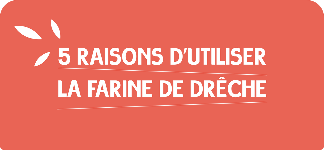 5 raisons d’utiliser la farine de drêche - Partie 1