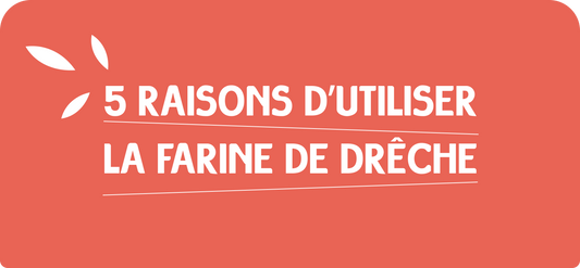 5 raisons d’utiliser la farine de drêche - Partie 1