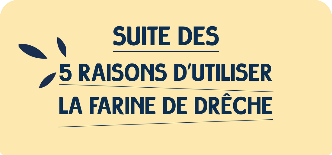 5 raisons d'utiliser la farine de drêche - Partie 2