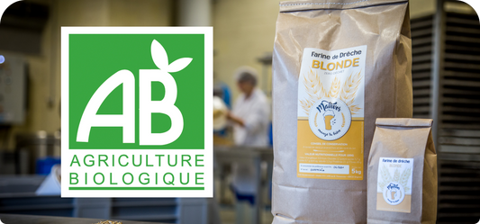 Les bienfaits des aliments biologiques pour votre santé