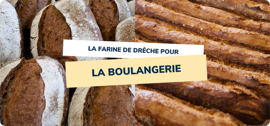 La farine de drêche, un vrai atout pour la boulangerie !