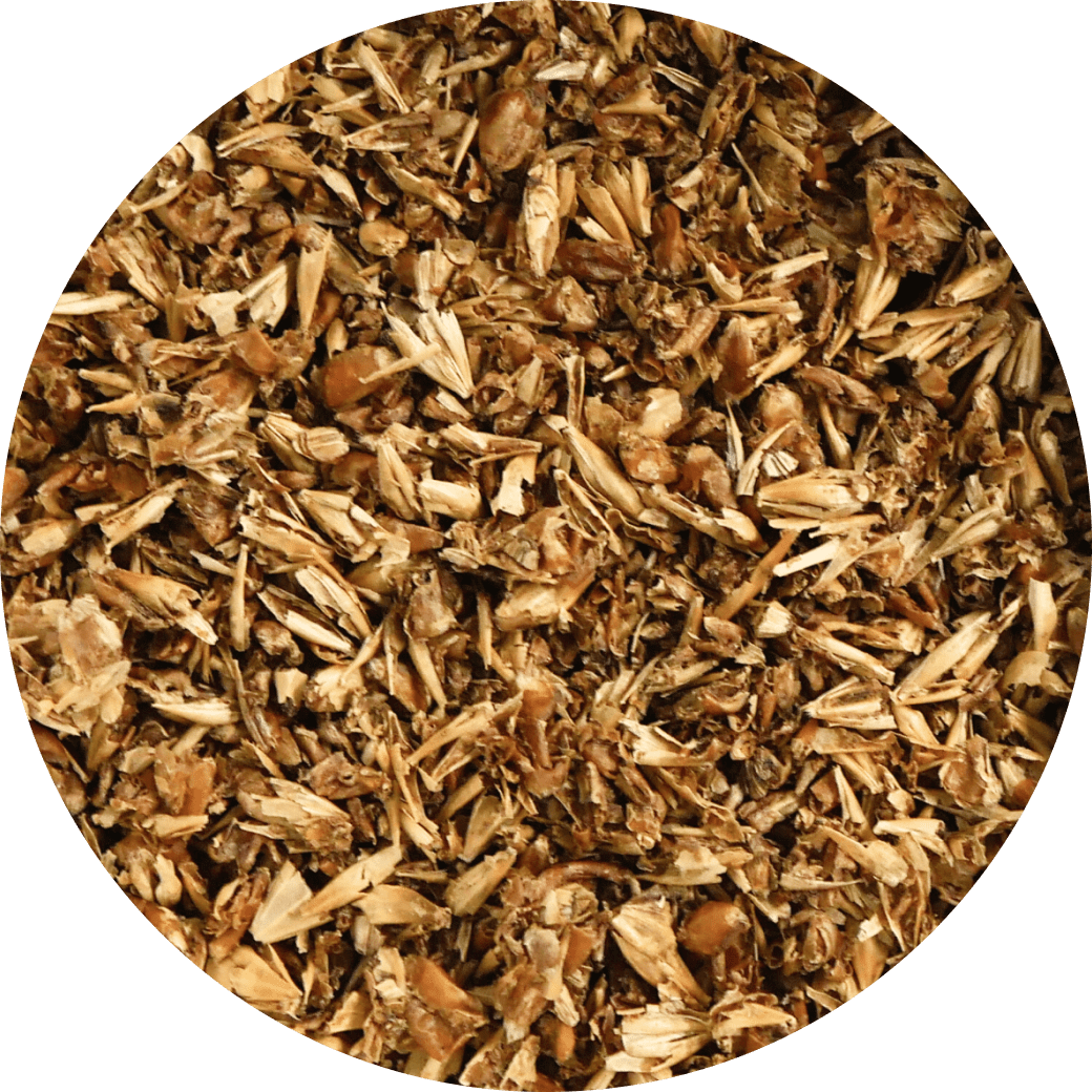 Inclusion of Brewers' Spent Grain
