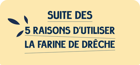 5 raisons d'utiliser la farine de drêche - Partie 2