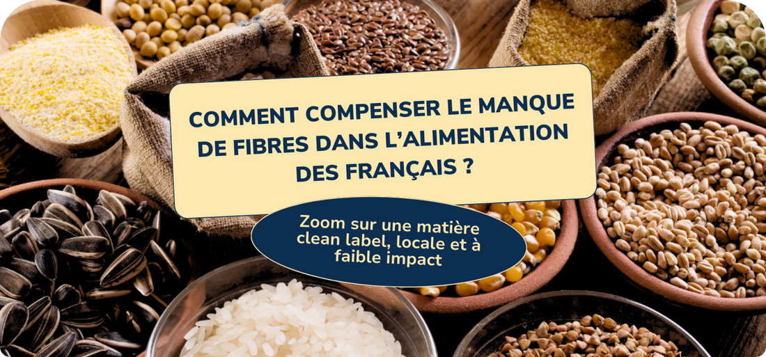 Comment compenser le manque de fibres dans l'alimentation des Français ?